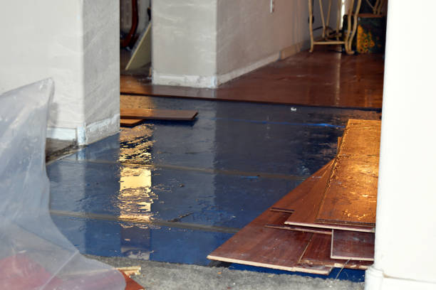 Professional Basement Flood Cleanup technician working in Filion, MI